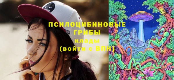 стафф Армянск