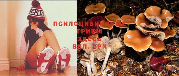 герыч Арсеньев