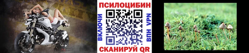 Псилоцибиновые грибы мухоморы  Черноголовка 