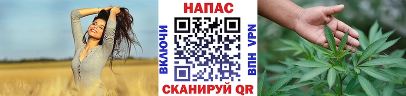 Шишки марихуана Ganja  Черноголовка 